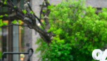 What Are Bips? Understanding Basis Points in Simple Terms