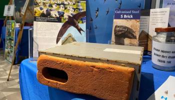 A Small Box With a Big Impact: The Swift Brick